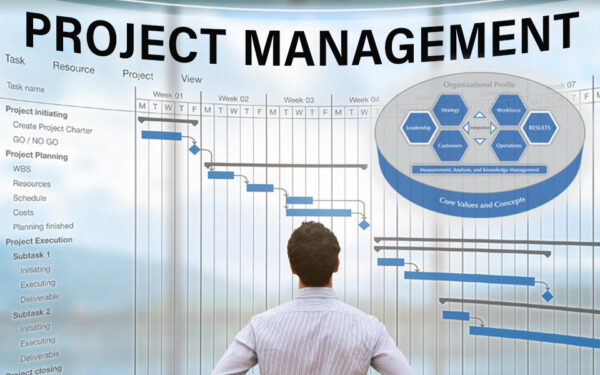 Project Management Professional (PMP) Certification