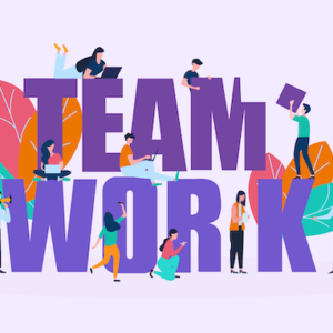 Teamwork and Team Building Certification
